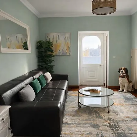 Spacious 3-bedroom With Open Terrace In * Lisboa